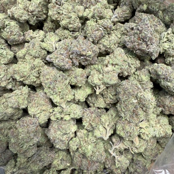 Rudeboi OG THCA Flower