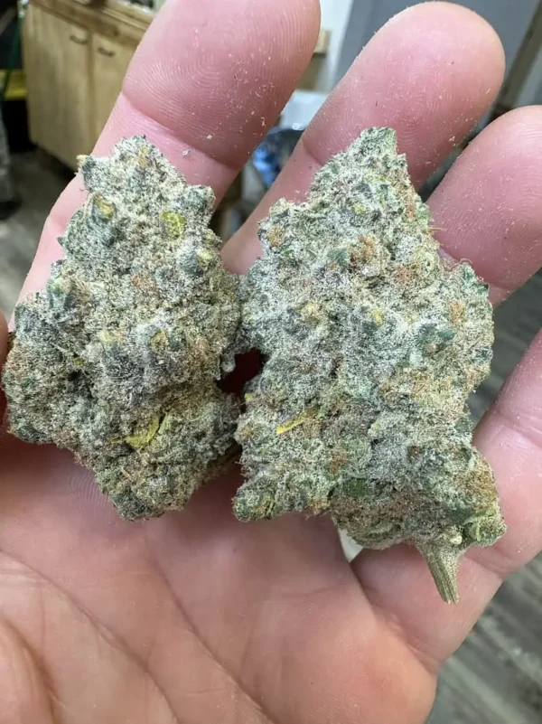 Sour Diesel THCA Flower - Image 2