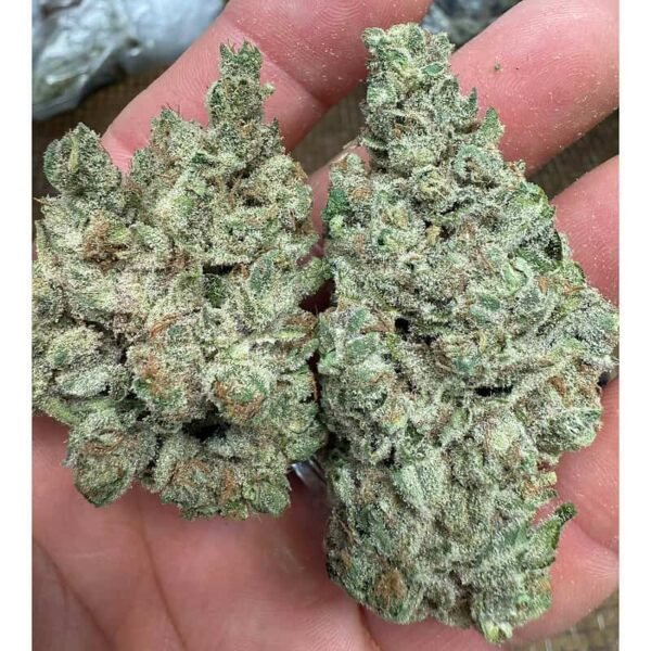 Super Boof THCA Flower
