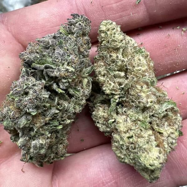 Super Buff Cherry THCA Flower