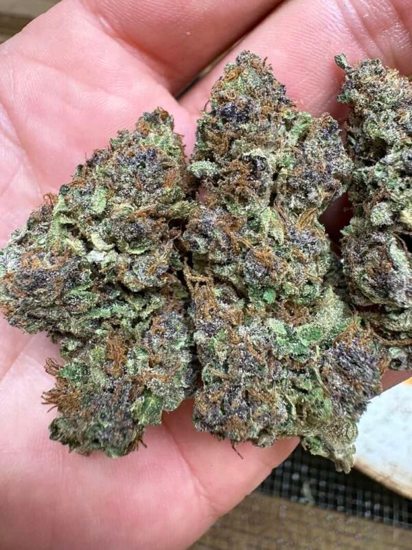 Tropicana Cookies THCA Flower