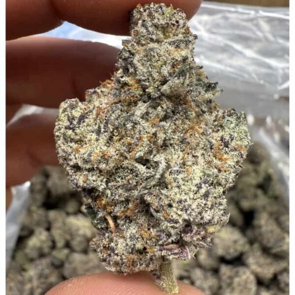 Unicorn Candy THCA Flower