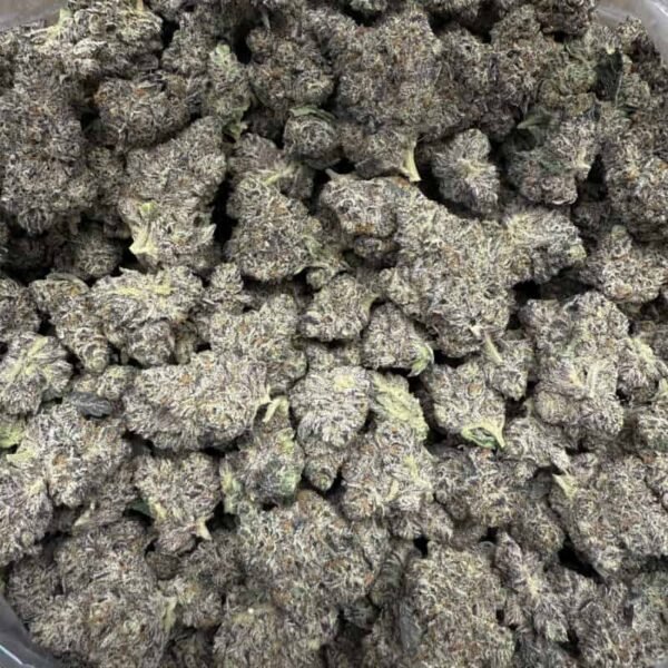 Unicorn Candy THCA Flower - Image 3