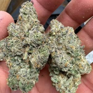 Watermelon Runtz THCA Flower