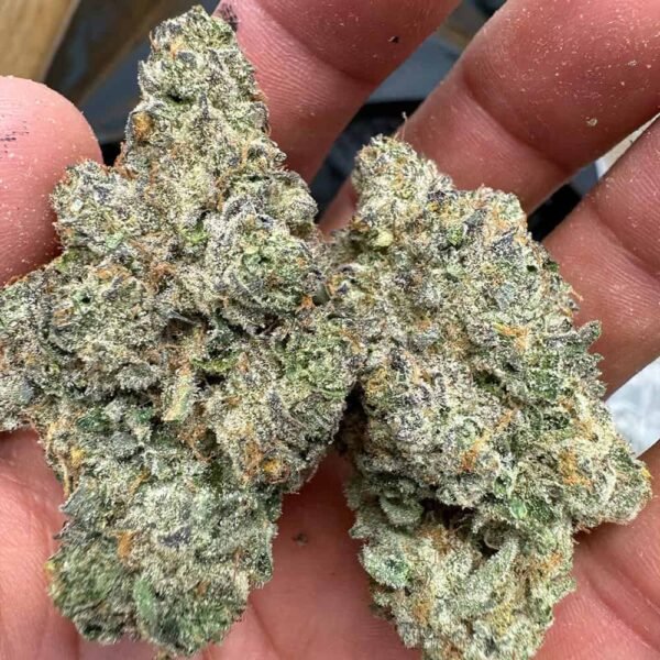 Watermelon Runtz THCA Flower