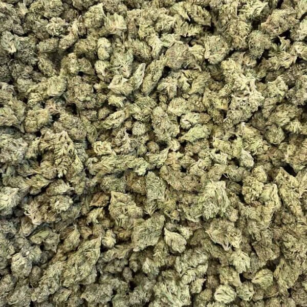 White Kush THCA Flower Pounds