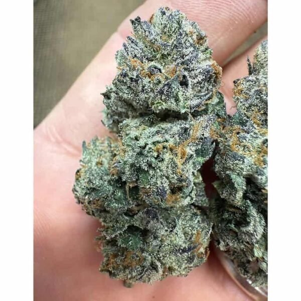 White Runtz THCA Flower