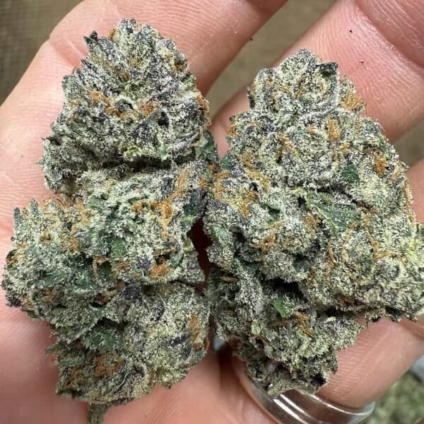 White Runtz THCA Flower