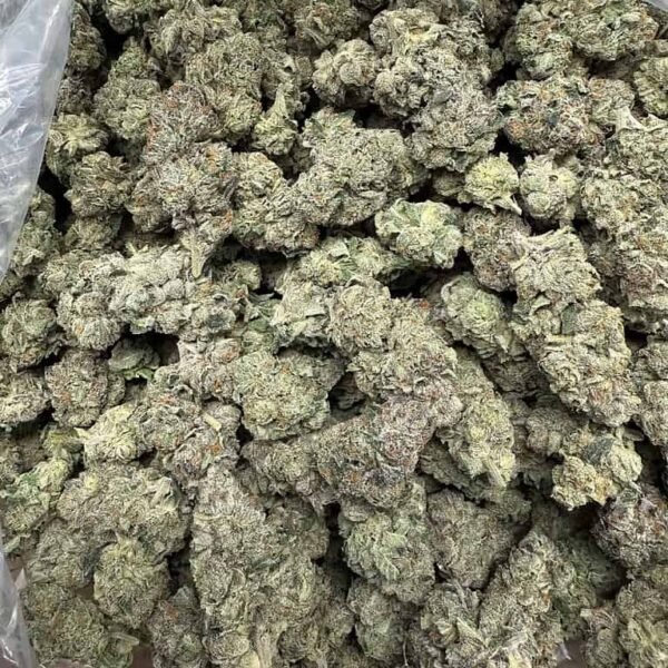 White Runtz THCA Flower - Image 2